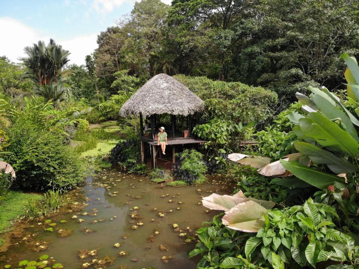 Eclypse de Mar Acqua Lodge Bastimentos Exterior foto